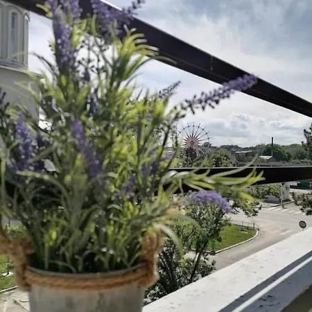 Hotel Tomis 3*